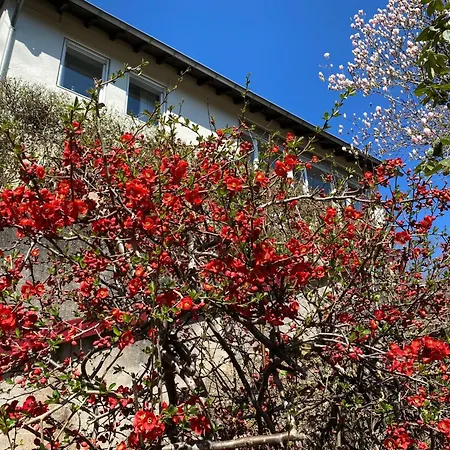 Emma By Interhome Rodalben