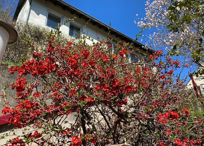 Emma By Interhome Rodalben